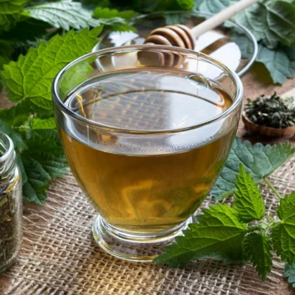 Nettle Leaf Tea Bag image 5